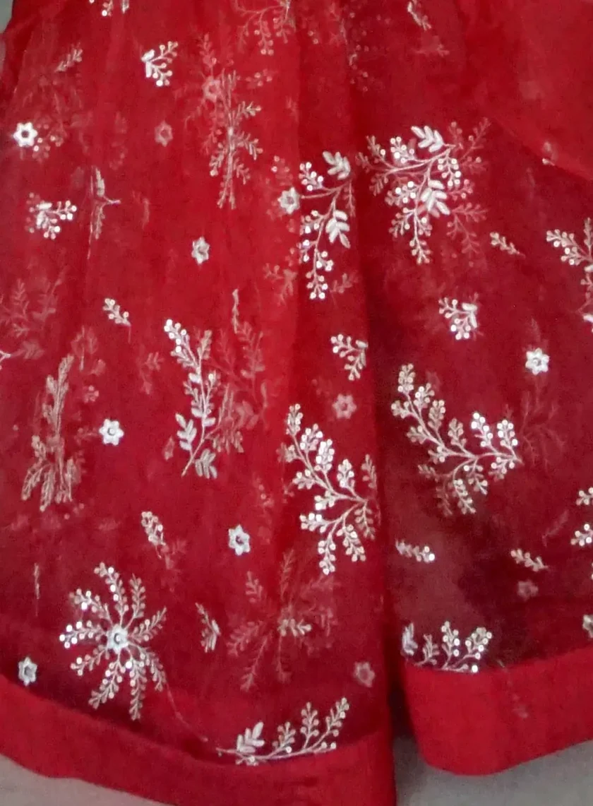 Kadambari Saree (2)